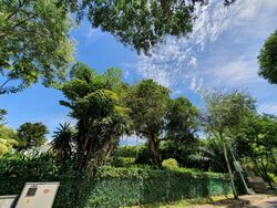 Orchard Road (D9), Detached #519310391
